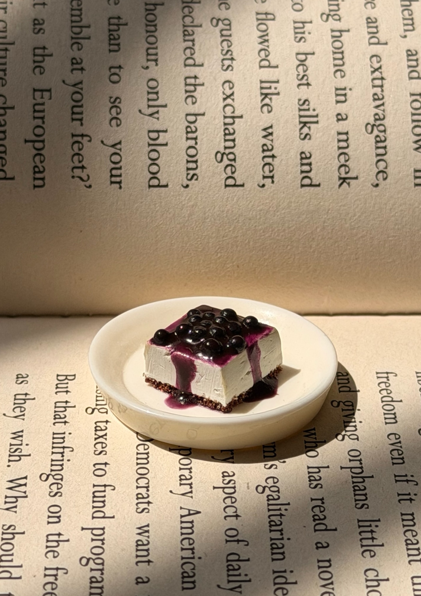 Blueberry Cheesecake